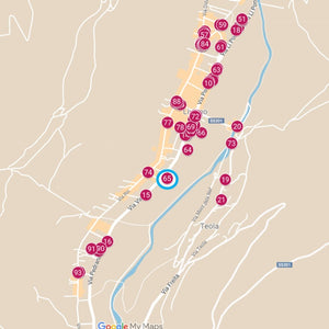 Livigno cod. 13479