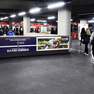 Milan cod. 13641