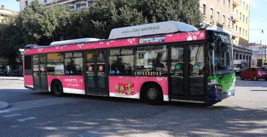 Verona cod. 13780