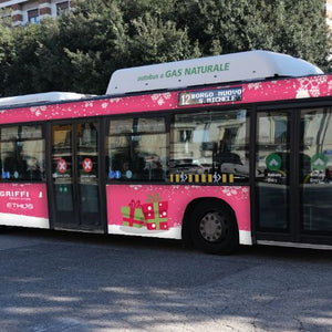 Verona cod. 13780