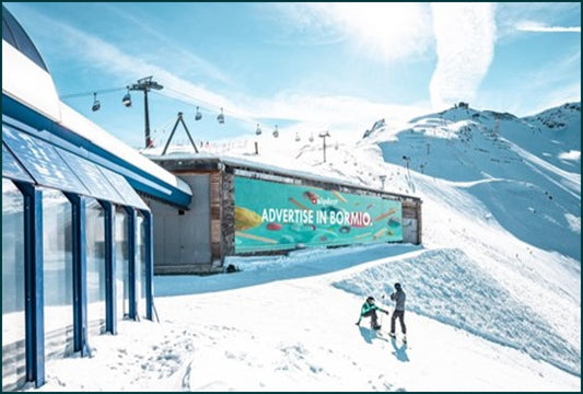 Bormio cod. 13800