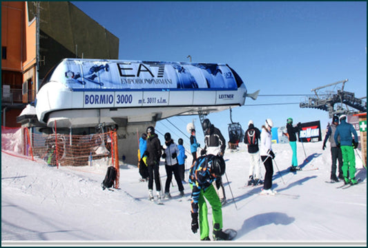 Bormio cod. 13811