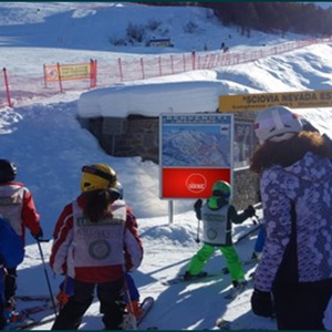 Bormio cod. 13823