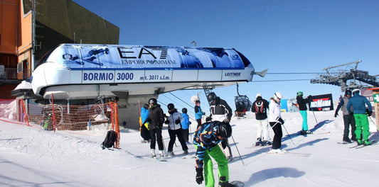 Bormio cod. 13842