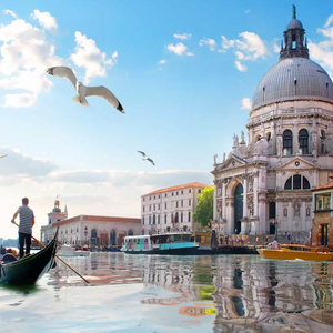 VENICE (INCLUDED SITES IN A+ AREAS)